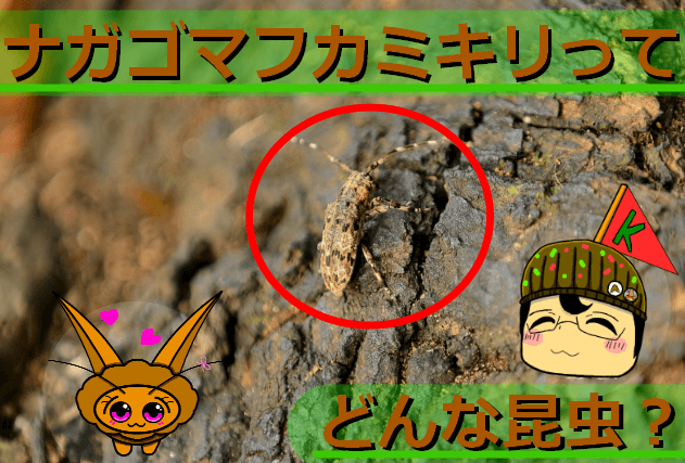 Thumbnail of post image 199